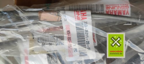 IMG_20230828_104438